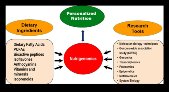 Tek Tip Beslenmenin Ötesinde: Nutrigenomik ile Kişiye Özel Beslenme