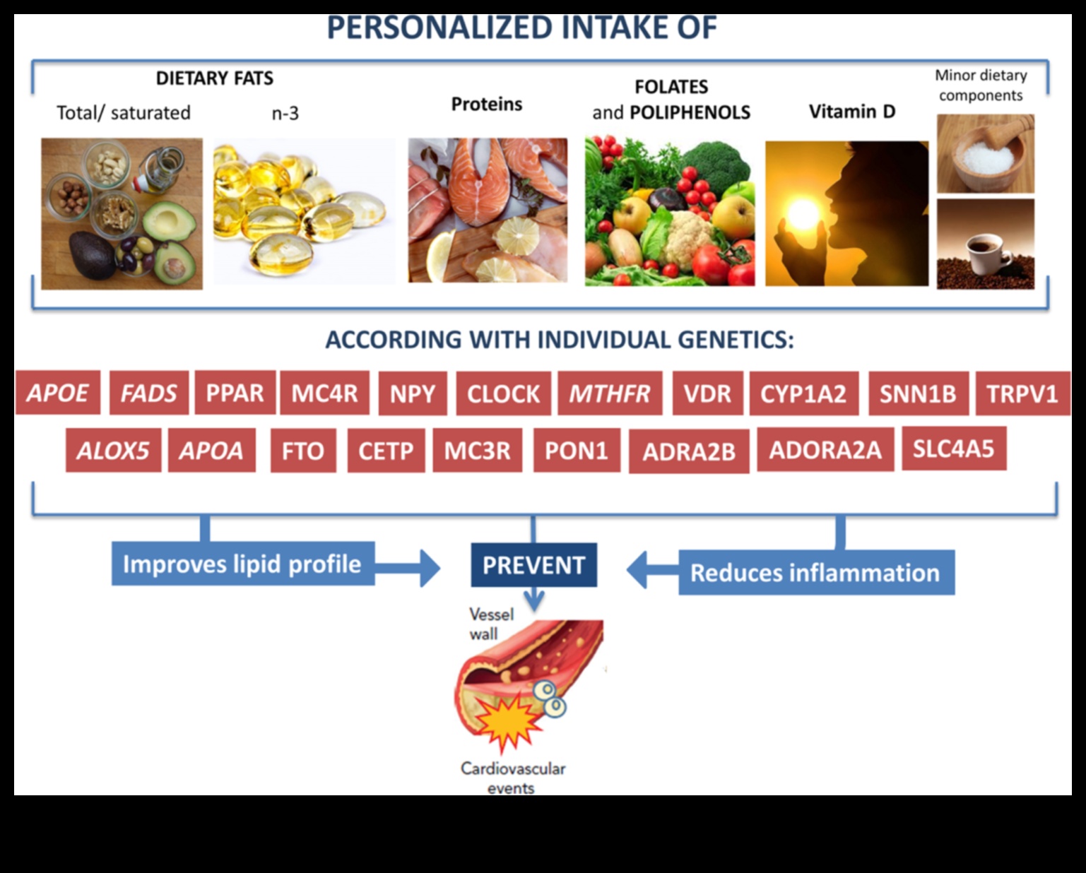 Tek Tip Beslenmenin Ötesinde: Nutrigenomik ile Kişiye Özel Beslenme